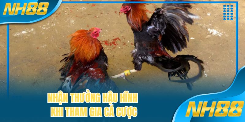 Nhận thưởng hậu hĩnh khi tham gia cá cược