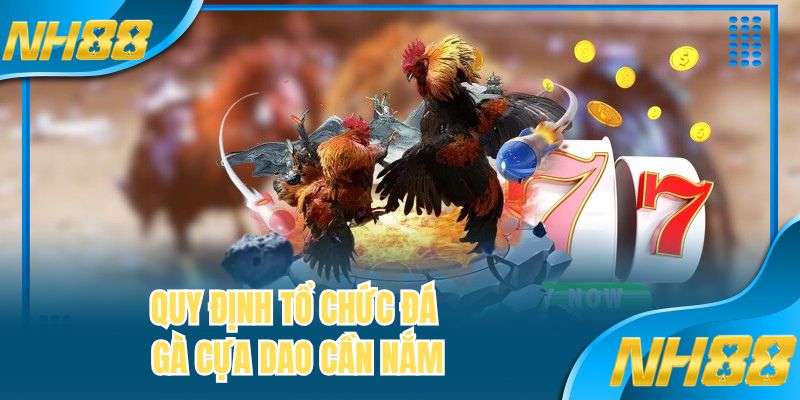 Quy định tổ chức đá gà cựa dao cần nắm